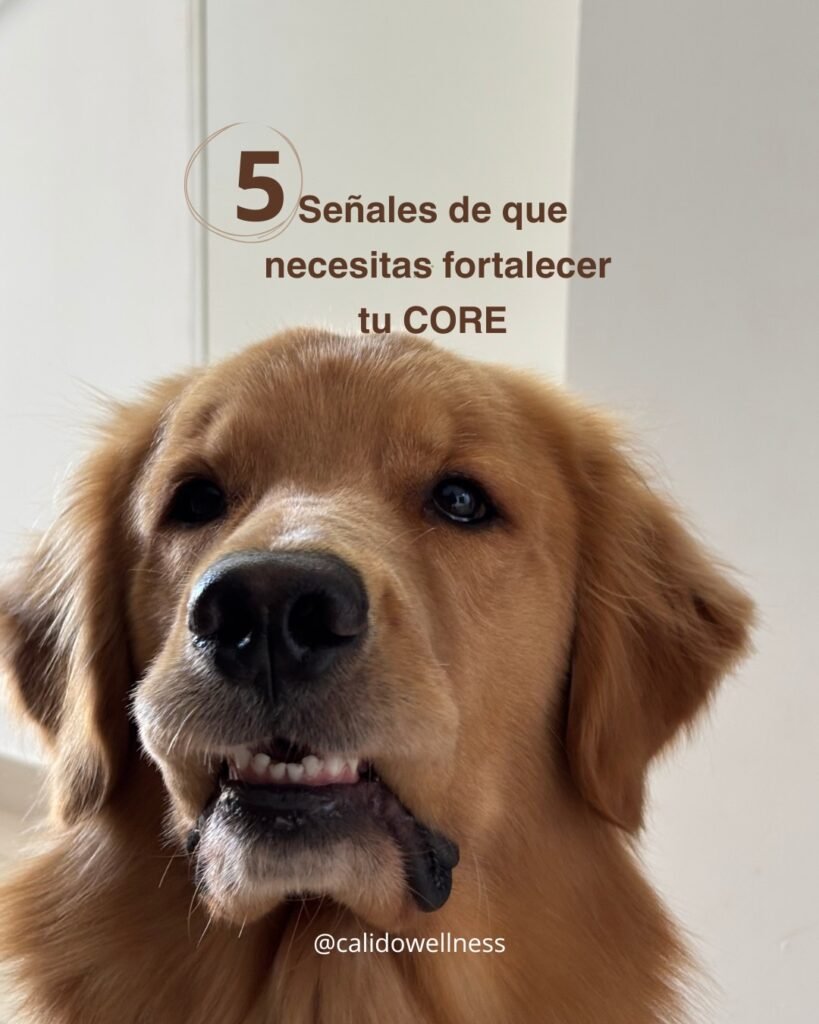A importância do fortalecimento do core para melhorar postura e estabilidade no dia a dia