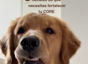 A importância do fortalecimento do core para melhorar postura e estabilidade no dia a dia