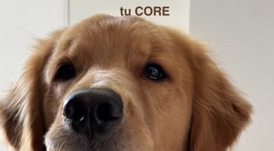 A importância do fortalecimento do core para melhorar postura e estabilidade no dia a dia
