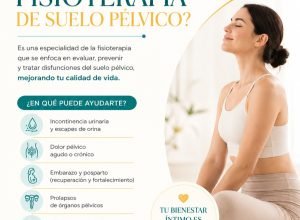 Fisioterapia de solo pélvico: tratamento para melhorar qualidade de vida pós-gestação