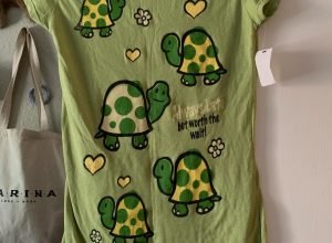 Tartaruga verde de tamanho M será disponibilizada à venda em plataforma de comércio online