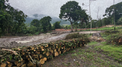 A-acao-ocorreu-em-uma-area-de-preservacao-permanente-APP-no-bairro-de-Sambaetiba.webp.webp