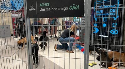 Adocao-de-pets-Carrefour-Property.jpg