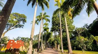 BioParque-do-Rio-.png