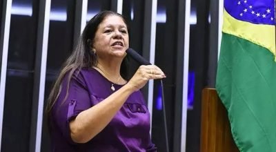 Deputada-federal-Laura-Carneiro-PSD.jpg
