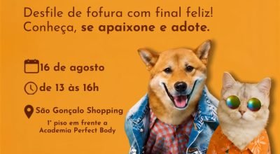 Desfile-Adota-Pet-promove-adocoes-de-caes-adolesce0017794900202608141019.jpg