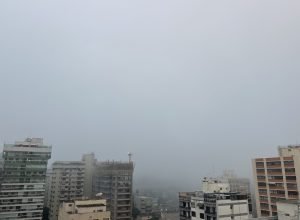 IMG_4387-2048x1536.jpeg