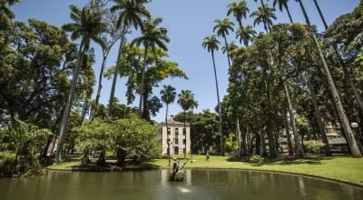 Jardins-do-museu-republica.jpg