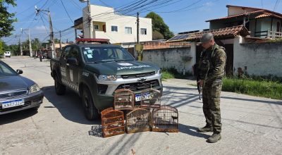 Passaros-silvestres-sao-apreendidos-em-cativeiro-e0016499500202604300939.jpg