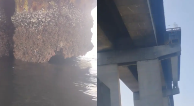 Ponte-4.png