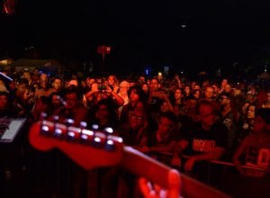 Rock-80-Festival_-3-Luiz-Mesquita.jpg