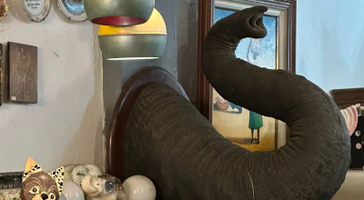 TROMBA-DE-ELEFANTE.png