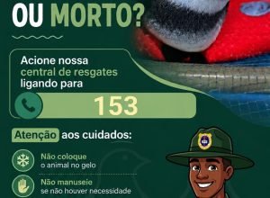 WhatsApp-Image-2026-06-26-at-10.56.06.jpeg
