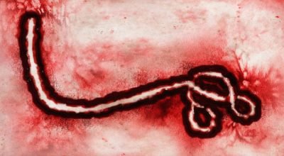 ebola_1779111363068-1000x563.jpg
