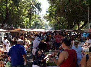 feira_da_gloria_06072019_113643_03102019_043255.jpg