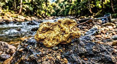 freepik_pepita-de-ouro-de-24-quil_2777240935.jpeg