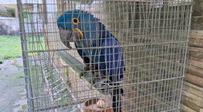 image-149.png