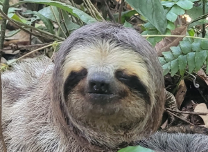 image-22.png