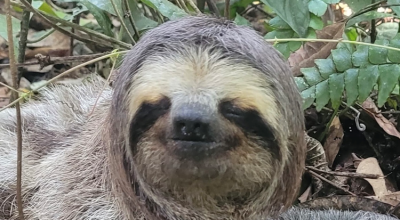 image-22.png