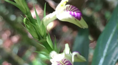 image-287.png