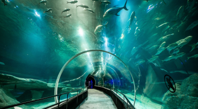 image-37-1024x682.png