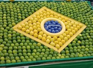 limoes-copa-do-mundo-1536x864.jpg