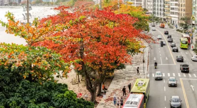praia-de-icarai.webp.webp