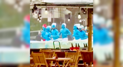 smurf.webp.webp