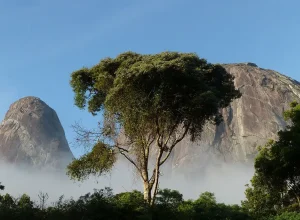 tres-picos-silva-jardim.webp.webp