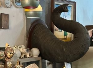tromba-de-elefante-450x324.jpg