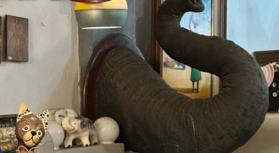 tromba-de-elefante-450x324.jpg