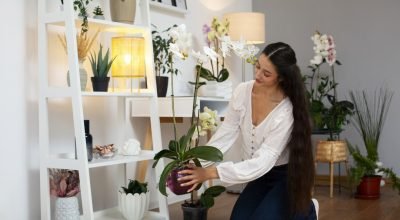view-woman-decorating-her-home-with-orchid-flower-1320x879.jpg